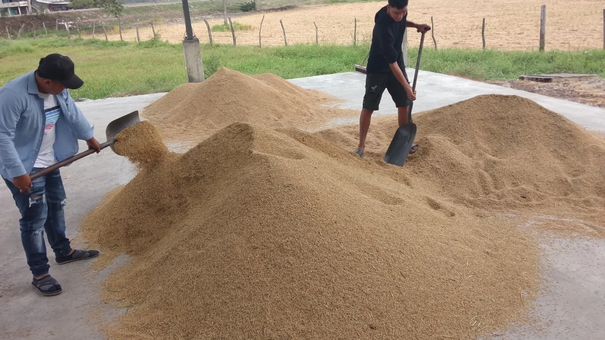 El Gobierno destinará $ 8 millones para este programa de compras.