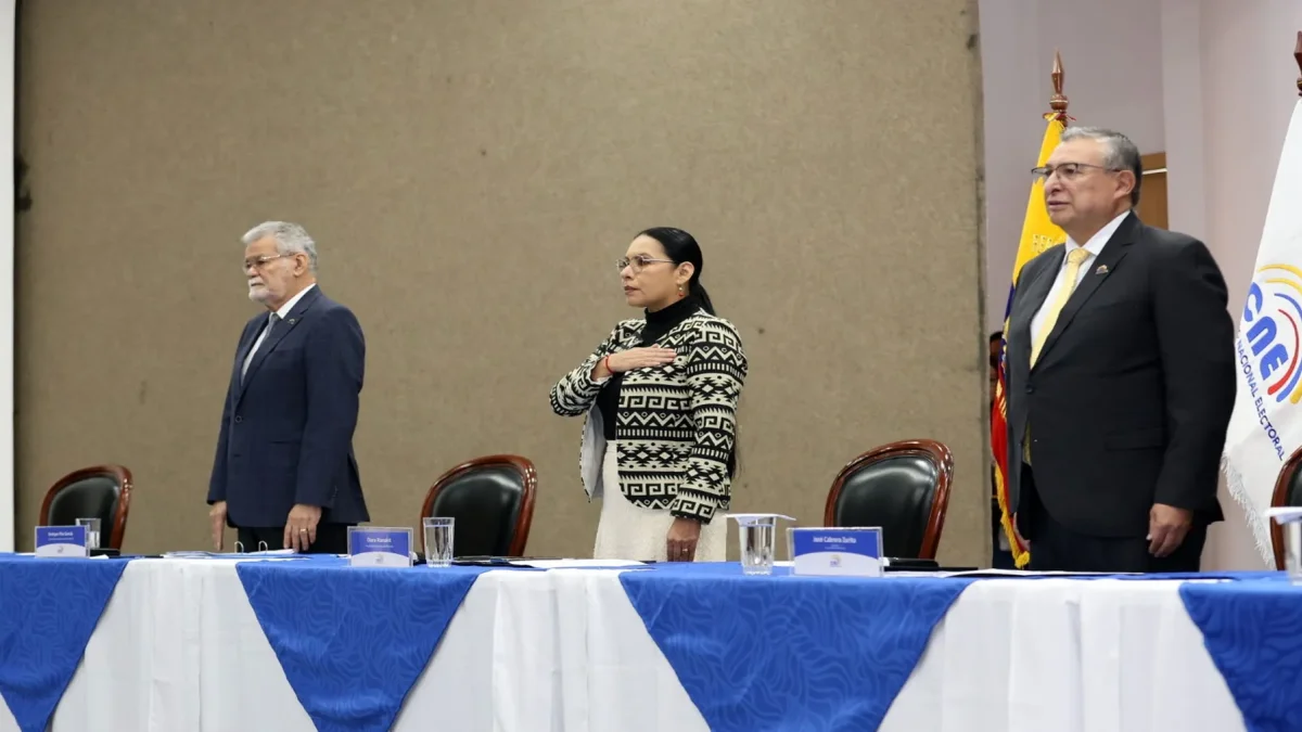CNE prorrogado y concentración de poder: críticas 