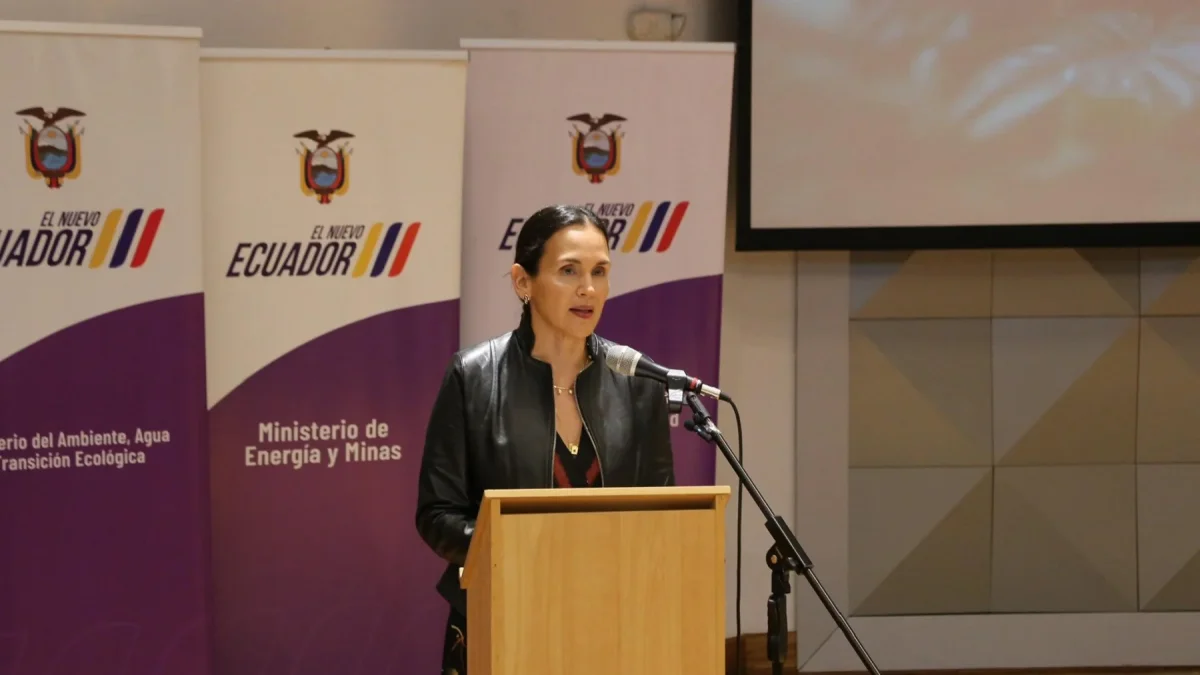Denuncian a la ministra Inés Manzano por peculado en tres contratos eléctricos fallidos