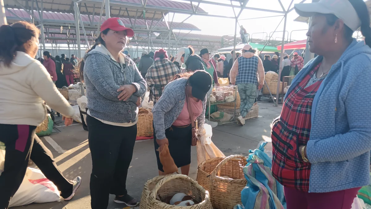 Una de las ferias de animales que hay en Ecuador.