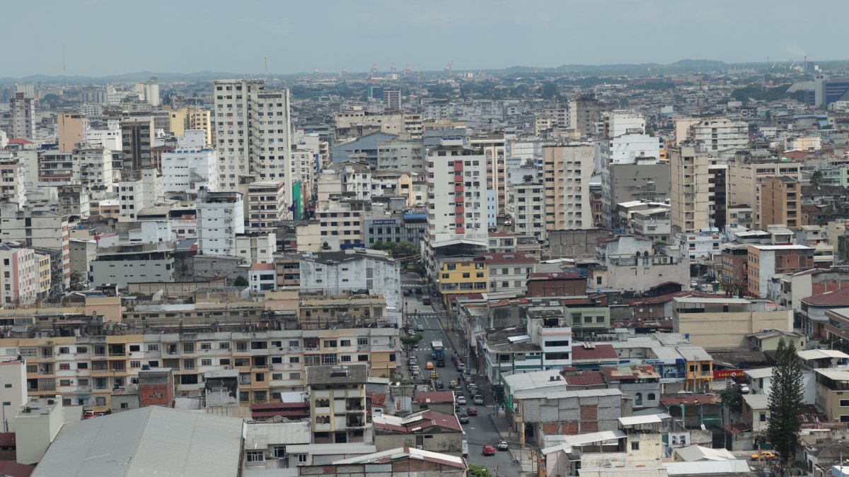 Cemento. Así se ve la ciudad, con árboles que apenas sobresalen entre las viviendas. La urbe tiene un déficit de zonas verdes y el desafío de arborizar.