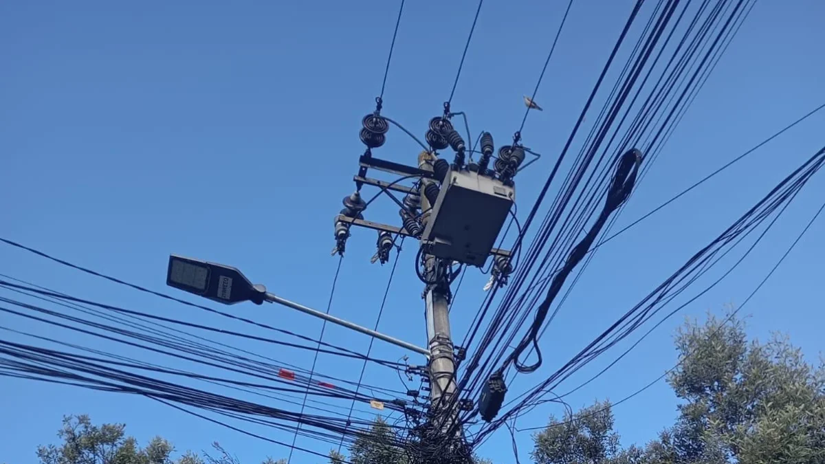 Cortes de luz en el norte de Quito: un ave provocó la interrupción del servicio eléctrico