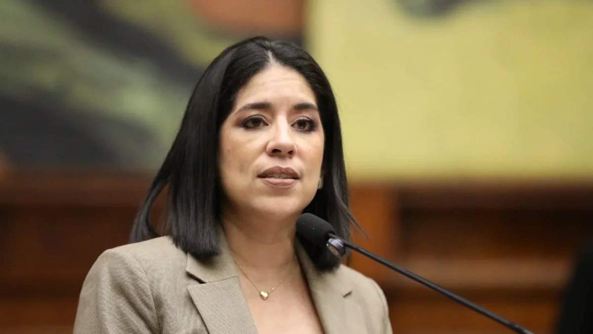 Mónica Luzárraga durante una intervención pública