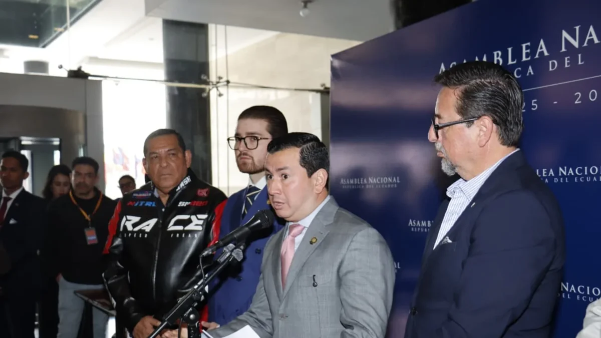 Ferdinan Álvarez, presidente de la Comisión de Fiscalización de la Asamblea, explicó el alcance del proceso que se iniciará.