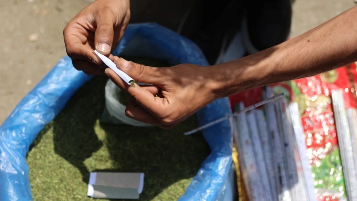 El precio de un vicio imposible: En Gaza, ante la falta de cigarrillos, se fuma yute verde