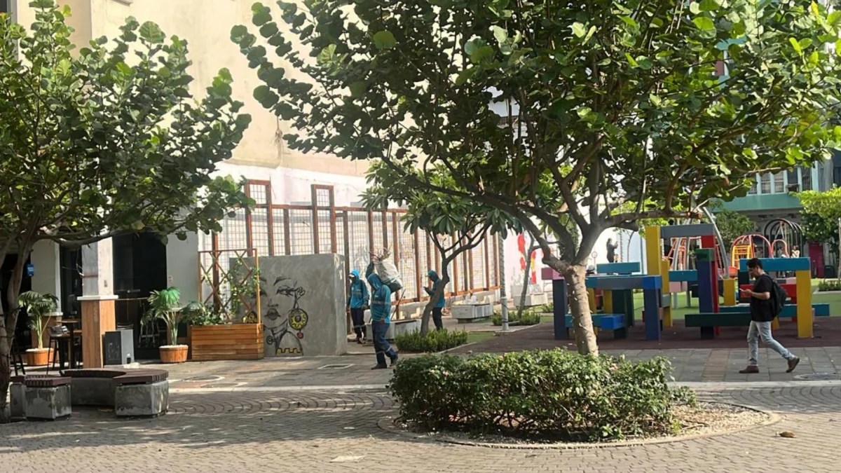 Municipio retira una planta de potencial invasivo en la calle Panamá