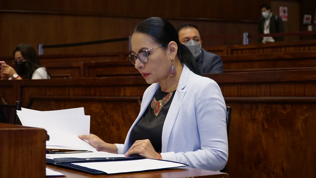 Unidad Popular presenta una queja contra Diana Atamaint ante el TCE por cancelación del partido