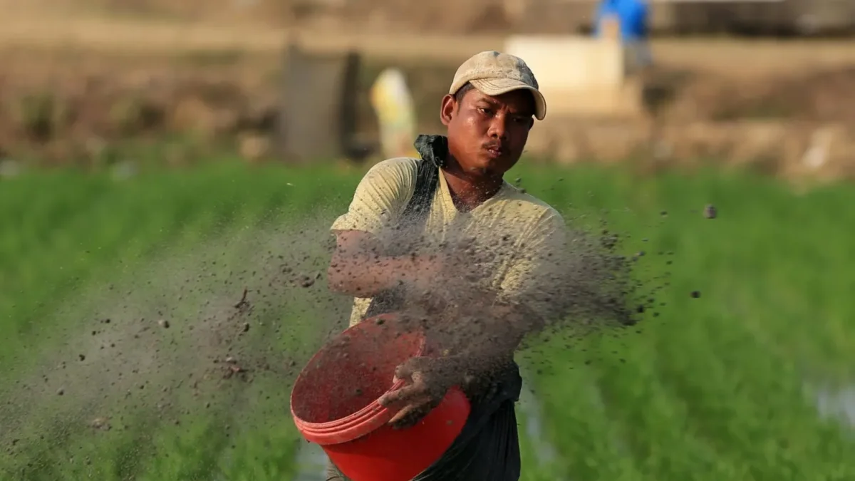 Logística. La interrupción del comercio y el traslado de insumos amenaza cadenas agrícolas claves.