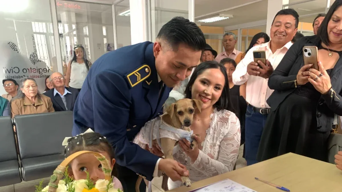 Las mascotas ya pueden ser parte de las bodas civiles en Ecuador.