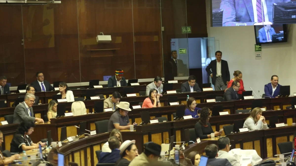 Los que menos votaron, no presentaron leyes y no hablaron: el año de la Asamblea en cifras