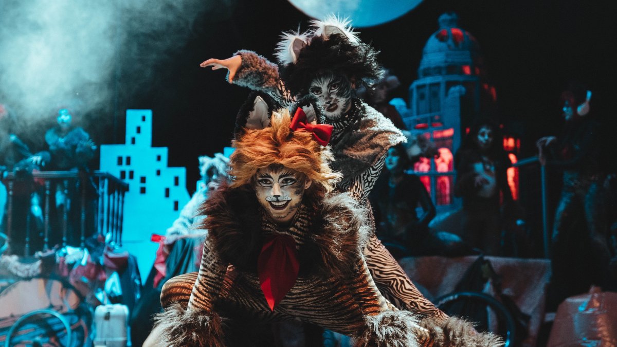 Cats en Ecuador: fechas, ciudades y detalles de la gira teatral de la obra más famosa de Broadway