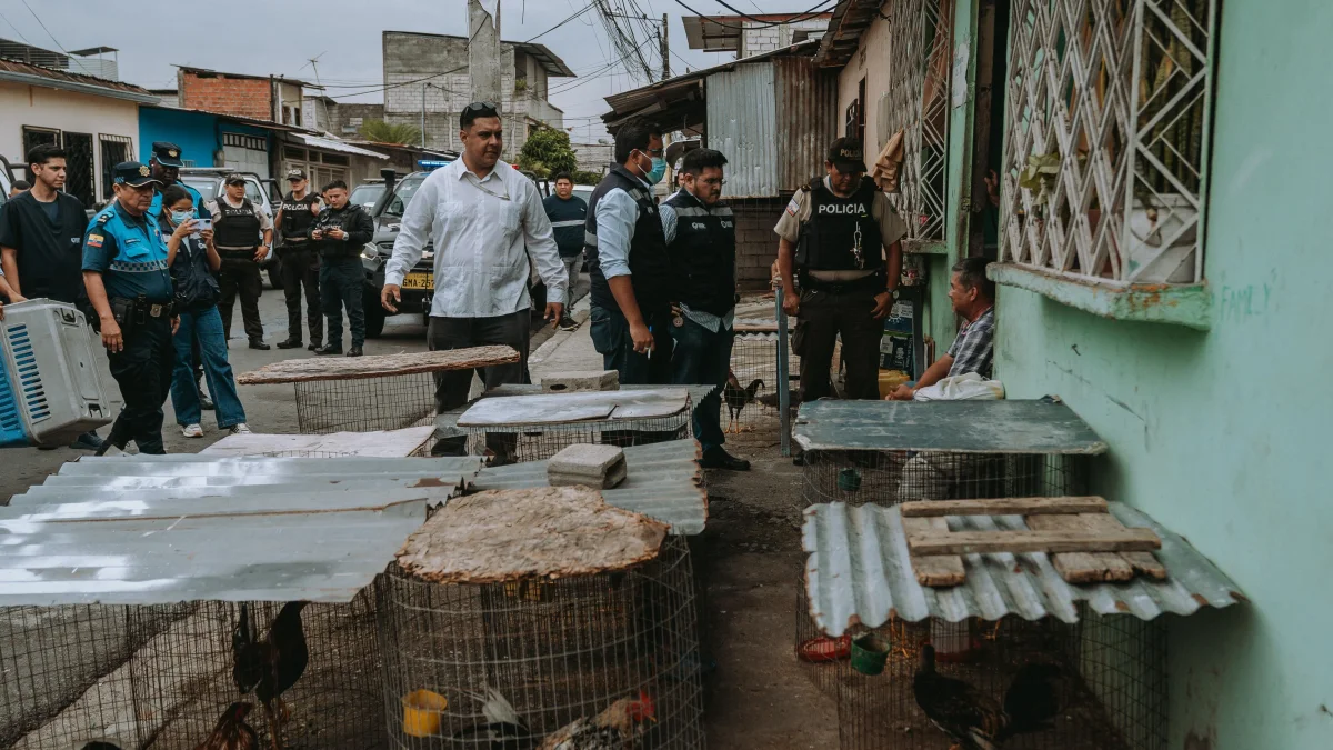 Las autoridades llegaron hasta el sitio para comprobar la situación