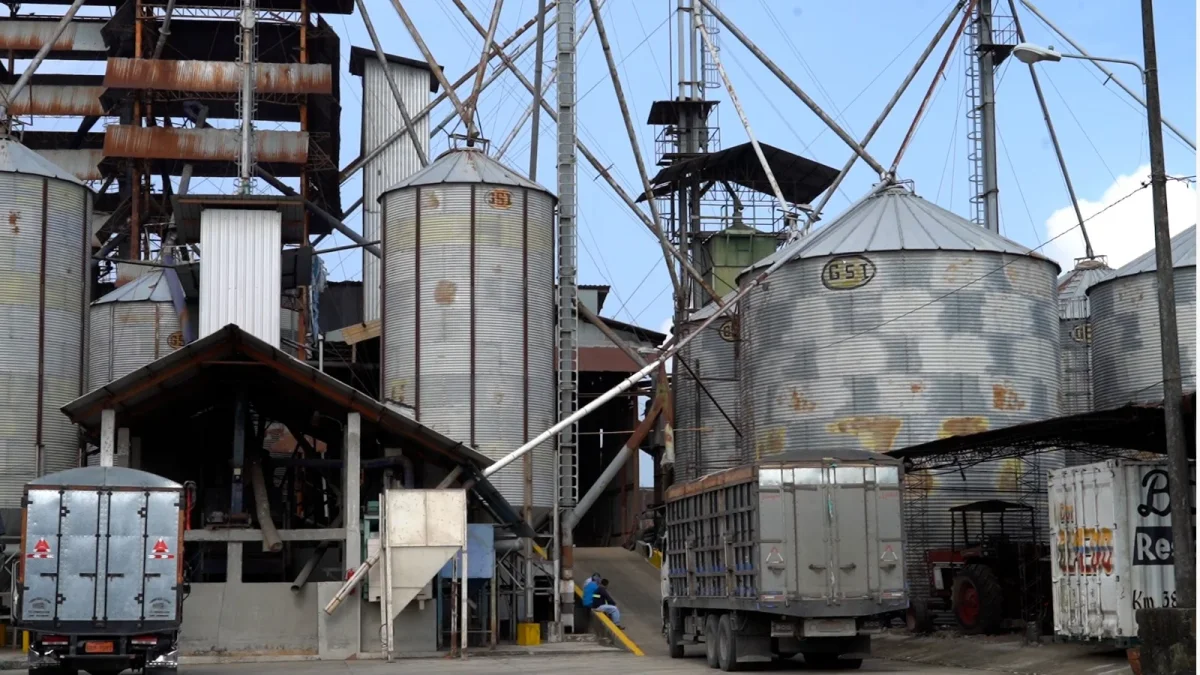 Crisis arrocera en Ecuador: productores reclaman compras mayores a las prometidas por Noboa