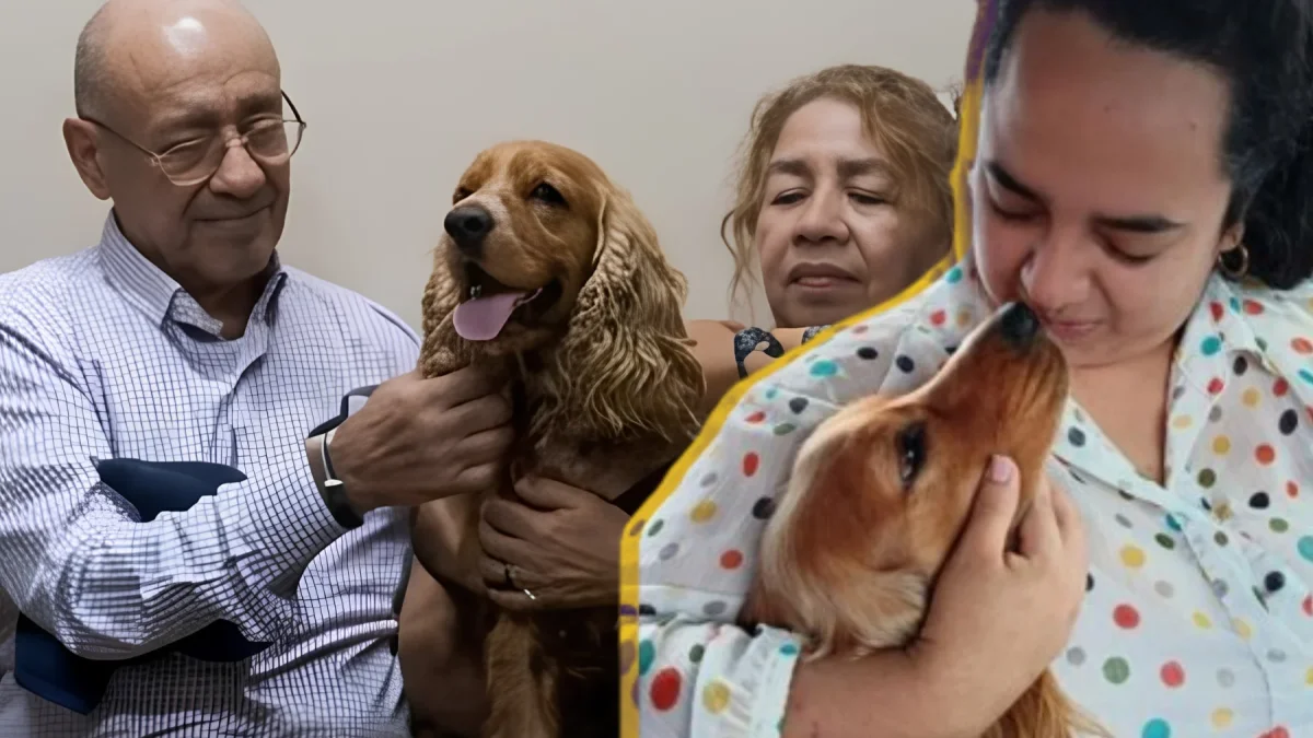 Capuccino regresa a casa: el cocker que marcó un precedente legal para las mascotas en Ecuador