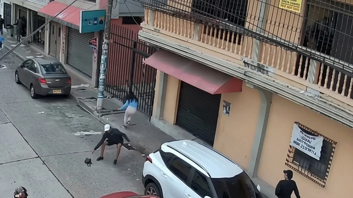 Inseguridad en el sur de Guayaquil: mujer es asaltada y todo queda grabado