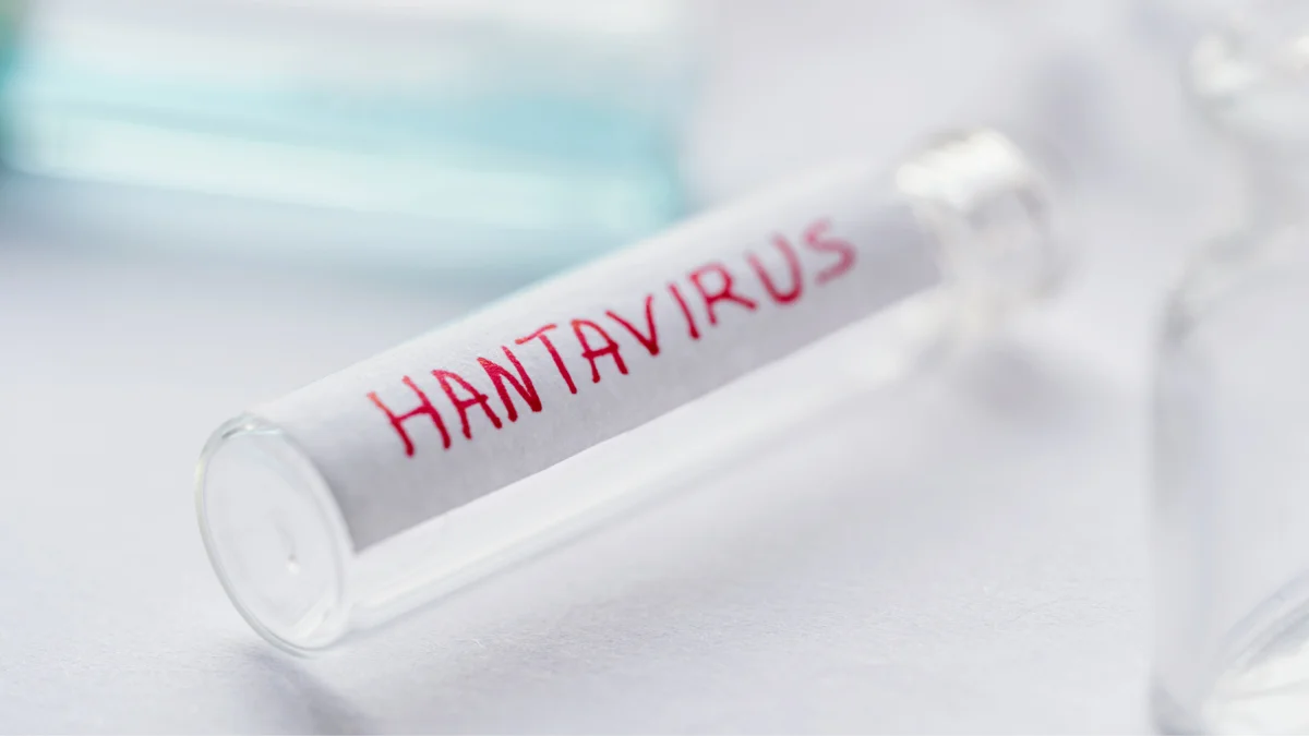 Autoridades sanitarias investigan posibles contagios de hantavirus ligados al crucero neerlandés Hondius.