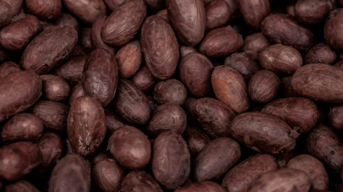 El productor de Milagro ha representado al Ecuador en encuentros internacionales sobre cacao.