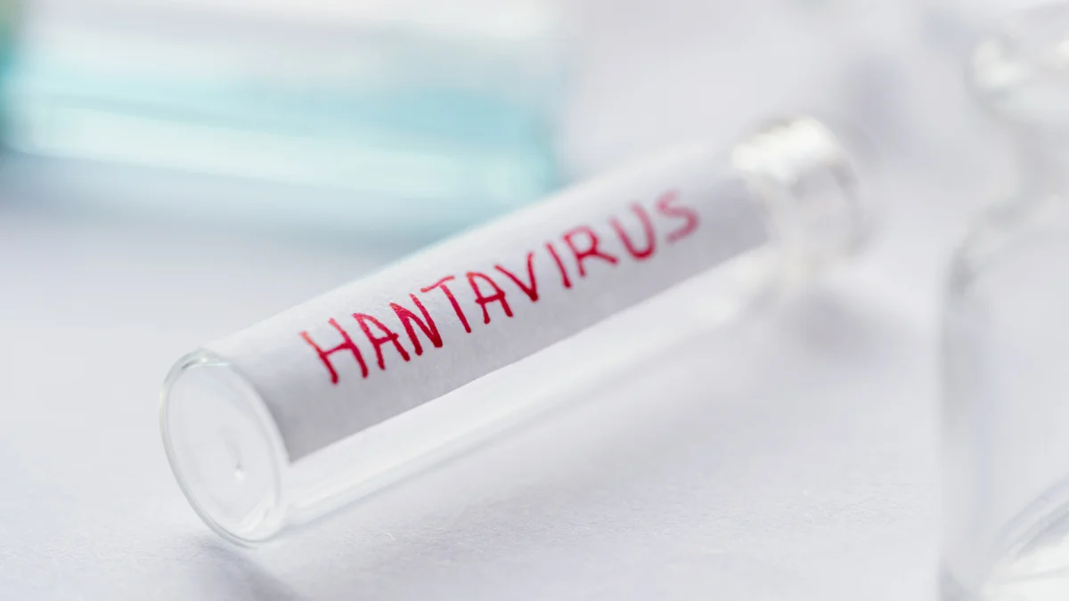 El Reino Unido desplegó una misión aérea para asistir a un residente con síntomas compatibles con hantavirus.