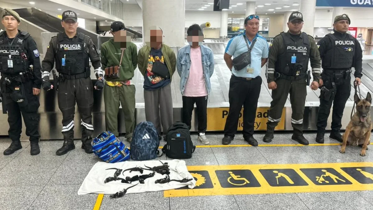 Los aprehendidos de nacionalidad tailandesa pretendían abordar un vuelo internacional en el aeropuerto de Guayaquil.