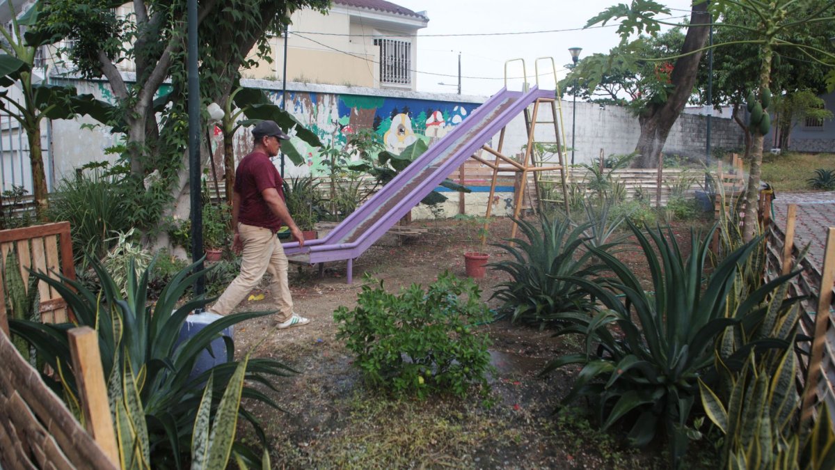 Una vecina puso plantas frutales en un espacio del parque de la manzana 16, en la etapa 11 de la Alborada, aunque eso generó roces con vecinos y una inspección municipal.
