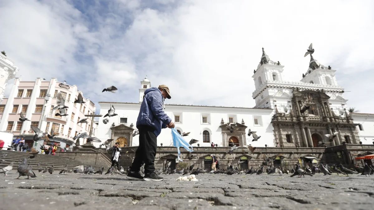 Centro. Alimentar a las palomas favorece la presencia de múltiples plagas.