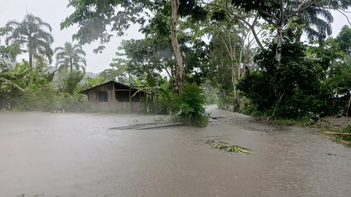 El desbordamiento de los ríos Napo y Misahuallí provocó la inundación de varias viviendas en esa provincia de la Amazonía.