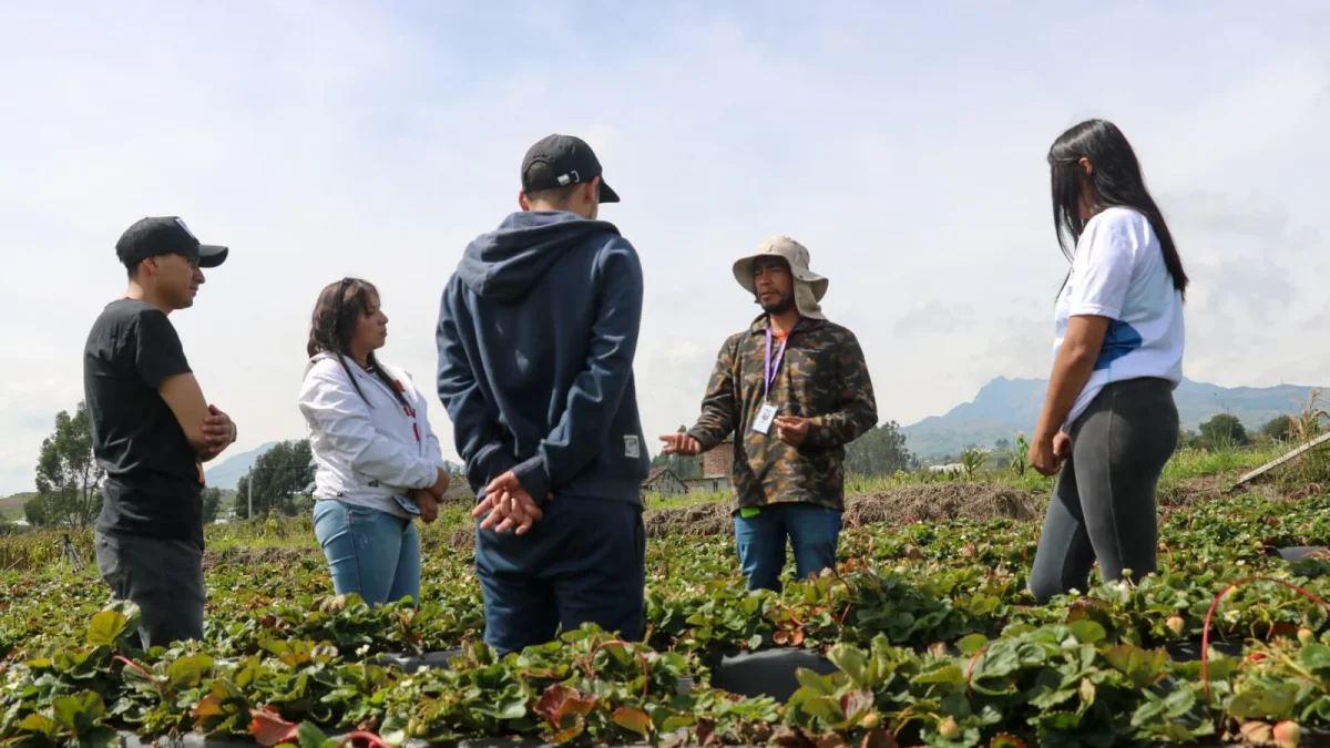 Jóvenes rurales buscan quedarse en el agro, pero el desafío va más allá de las capacitaciones