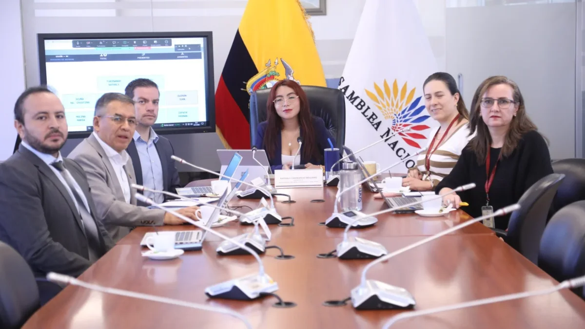 La legisladora Nathaly Farinango, de ADN, preside la Comisión de Régimen Económico de la Asamblea.