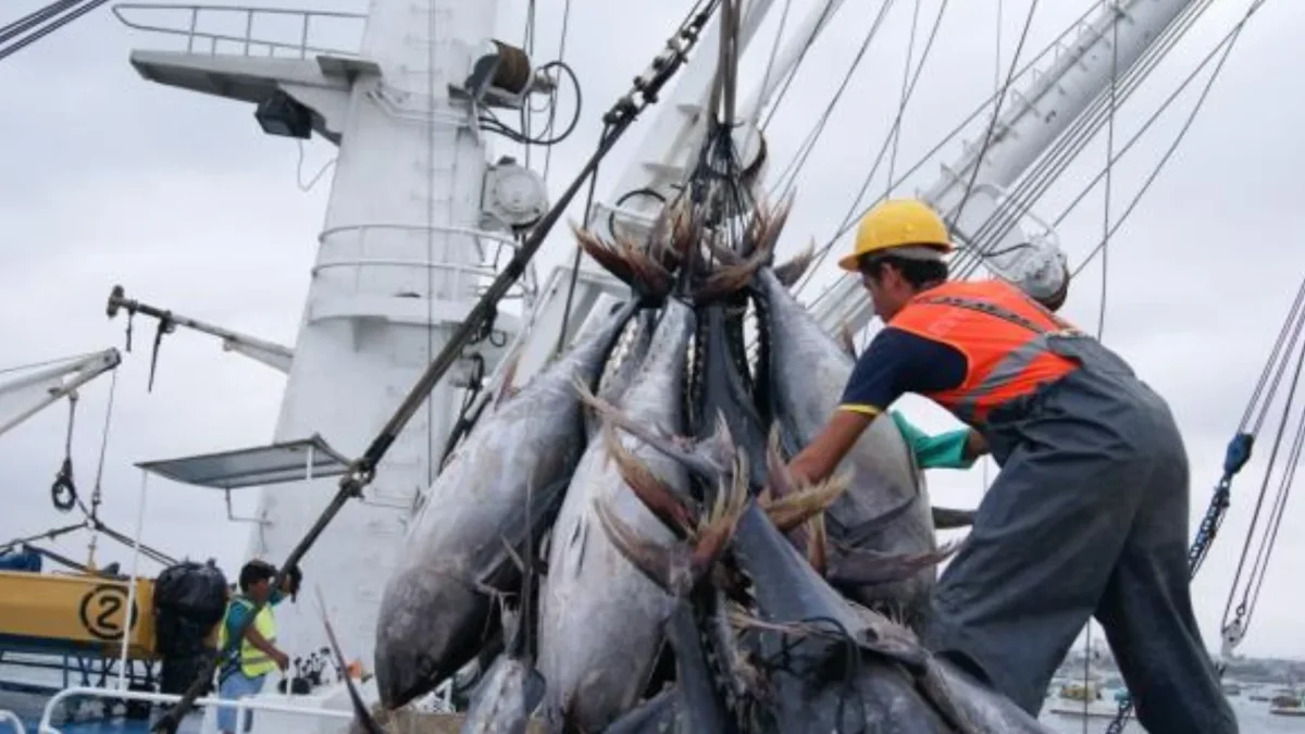 El Gobierno crea compensación de hasta $ 10,5 millones para la pesca industrial tras alza del diésel