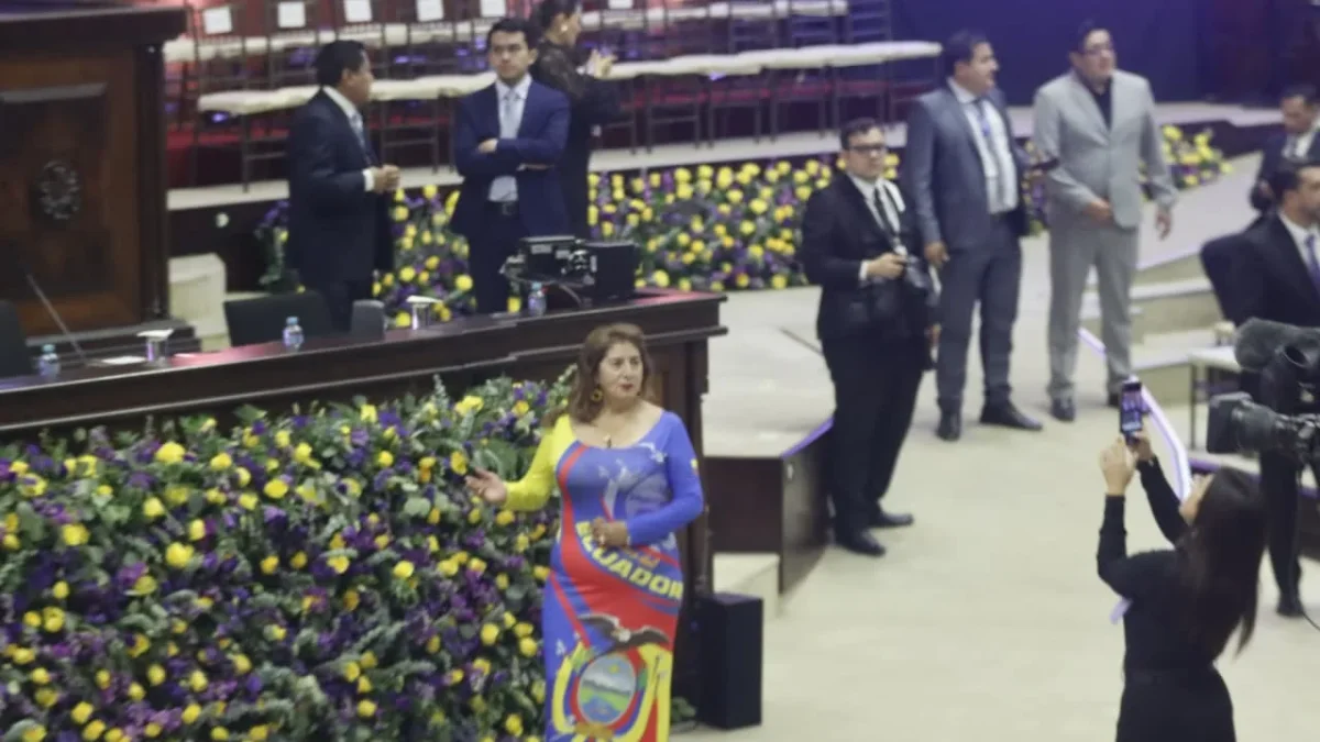 El uso de la bandera como vestimenta en la Asamblea genera debate sobre los símbolos patrios