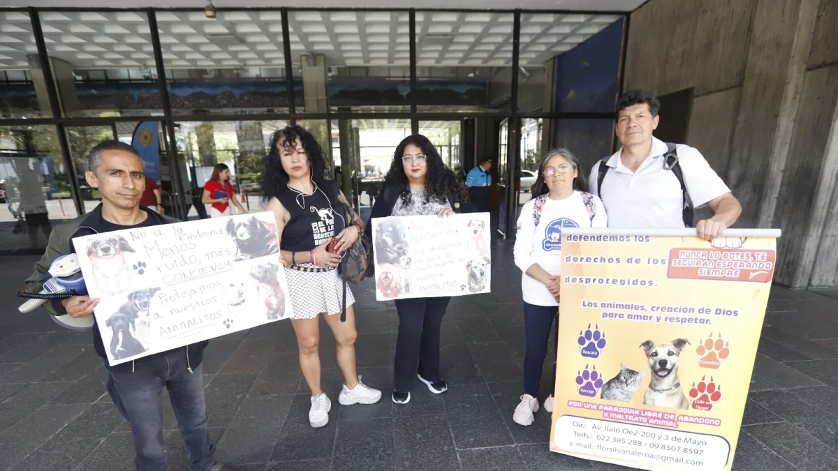 Animalistas realizaron un plantón en exteriores del Municipio para respaldar el tratamiento de la ordenanza contra la pirotecnia ruidosa.