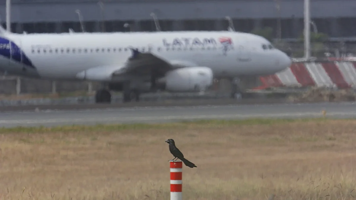 Fotografía de archivo de un avión de Latam en el aeropuerto de Guayaquil.