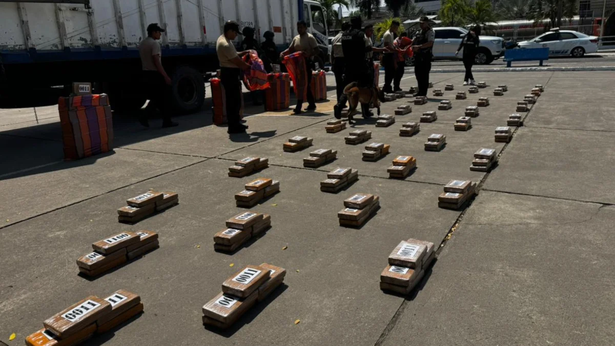 La droga estaba oculta en un camión que cargaba cajas de banano.