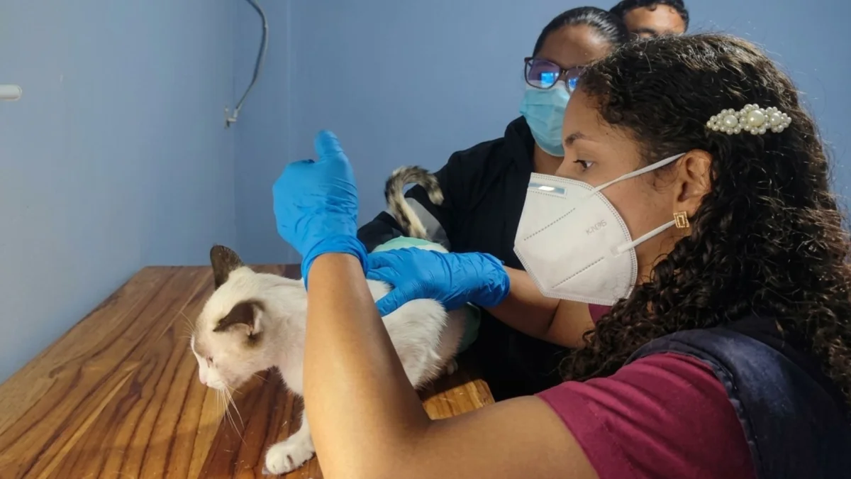 Maltrato animal en Guayaquil: Esto se encontró en una casa de la ciudadela Huancavilca