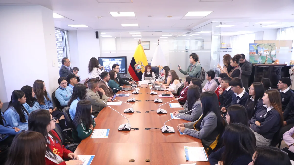Reforma a rentas eléctricas: ¿qué cambios plantea la Asamblea para controlar los fondos?