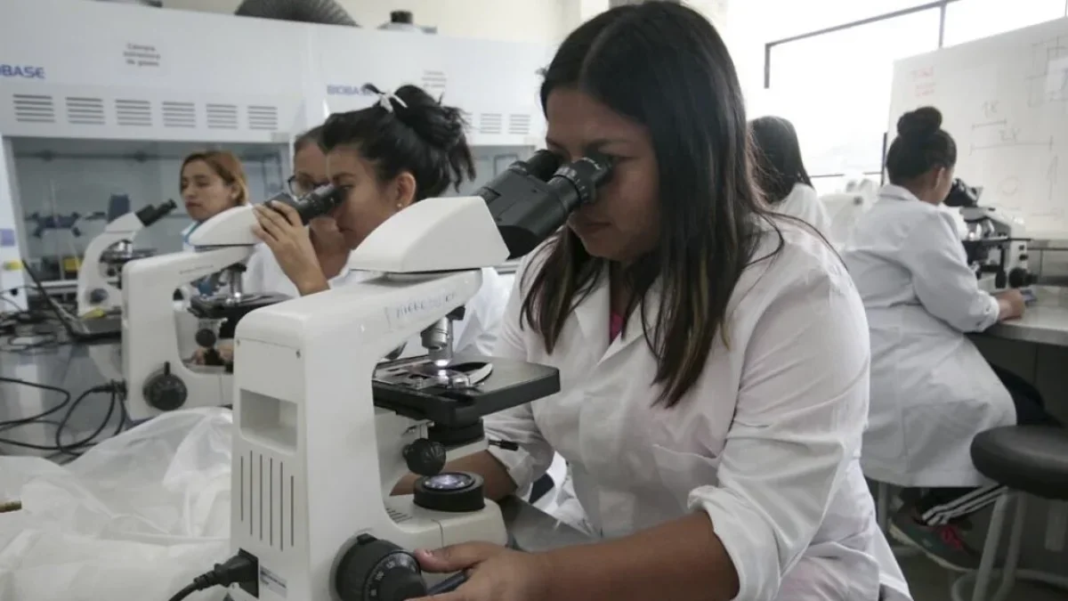 Estudiantes revisan ofertas académicas ante alerta por instituciones sin autorización en Ecuador.