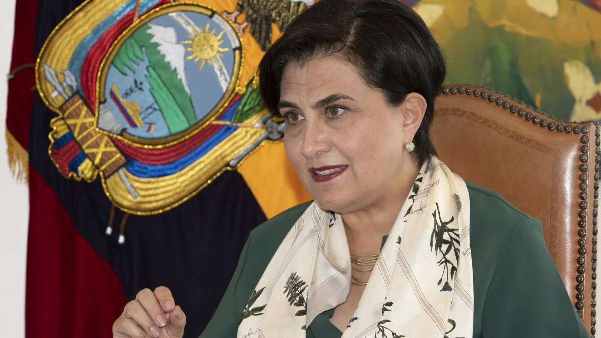 Gabriela Sommerfeld es la actual Ministra de Relaciones Exteriores y Movilidad Humana.
