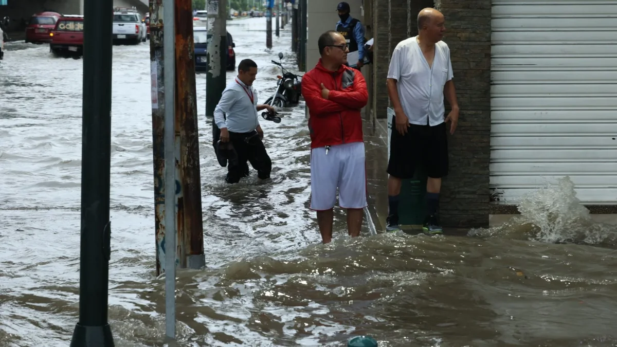 ONU estima 80% de probabilidad de El Niño entre junio y agosto de 2026.