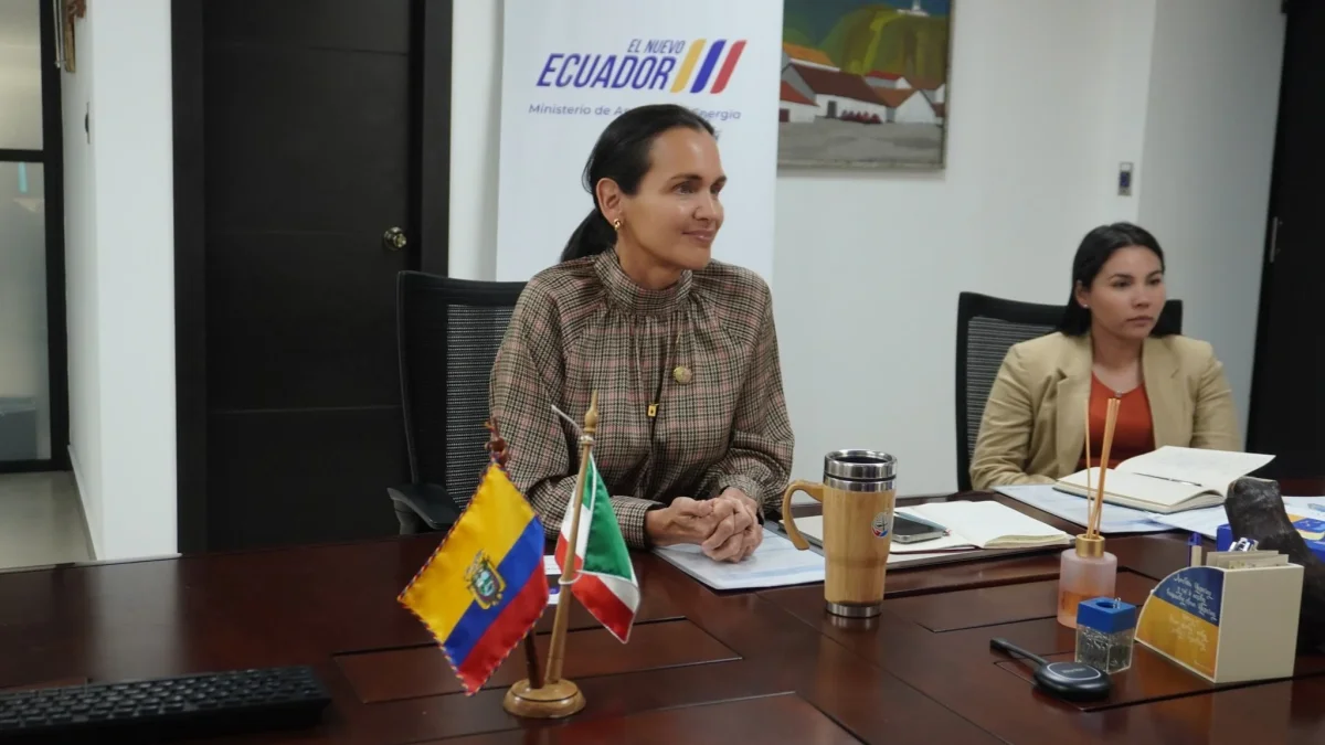 Blasco Luna afirmó que la Comisión de Fiscalización deberá iniciar el trámite del juicio político contra Inés Manzano.