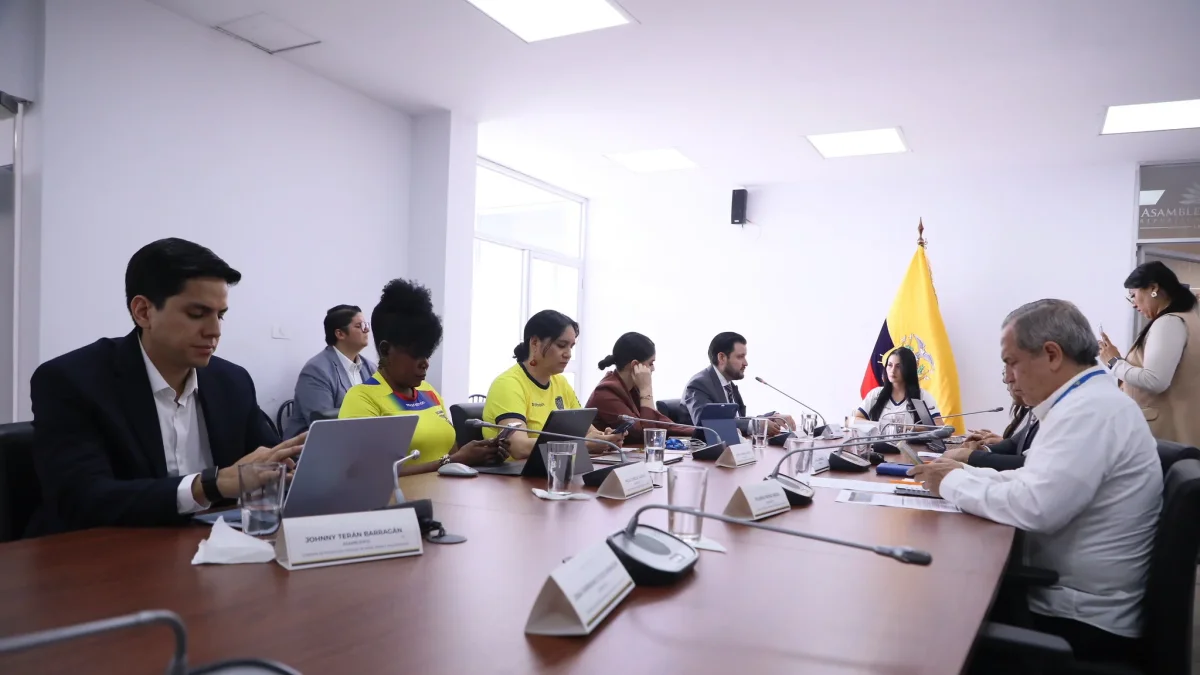 La Comisión de la Niñez abordó denuncias sobre el sistema de salud en Taisha y Manabí durante una sesión de fiscalización.