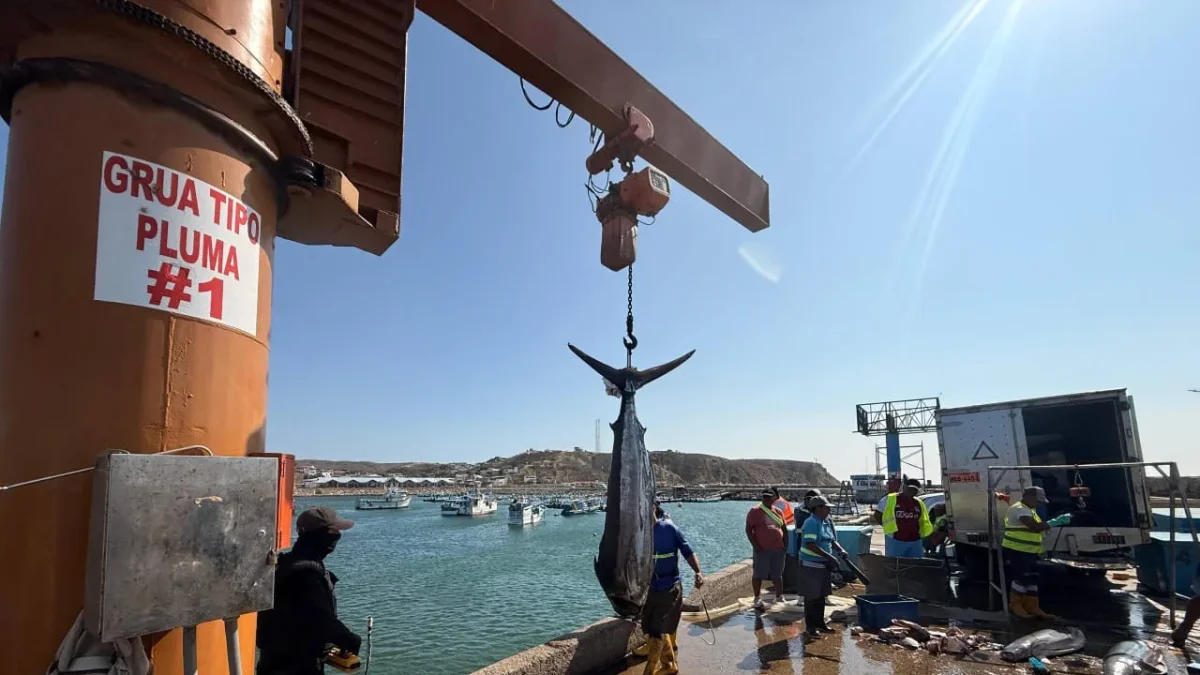 Actividades de pesca en uno de los puewrtos de Ecuador.