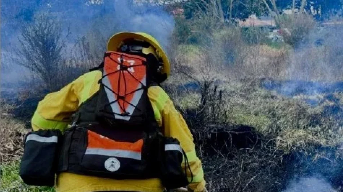 En Los Chillos una persona fue sancionada por realizar quema ilegal mientras Quito refuerza controles ante riesgo de incendios forestales en zonas urbanas.