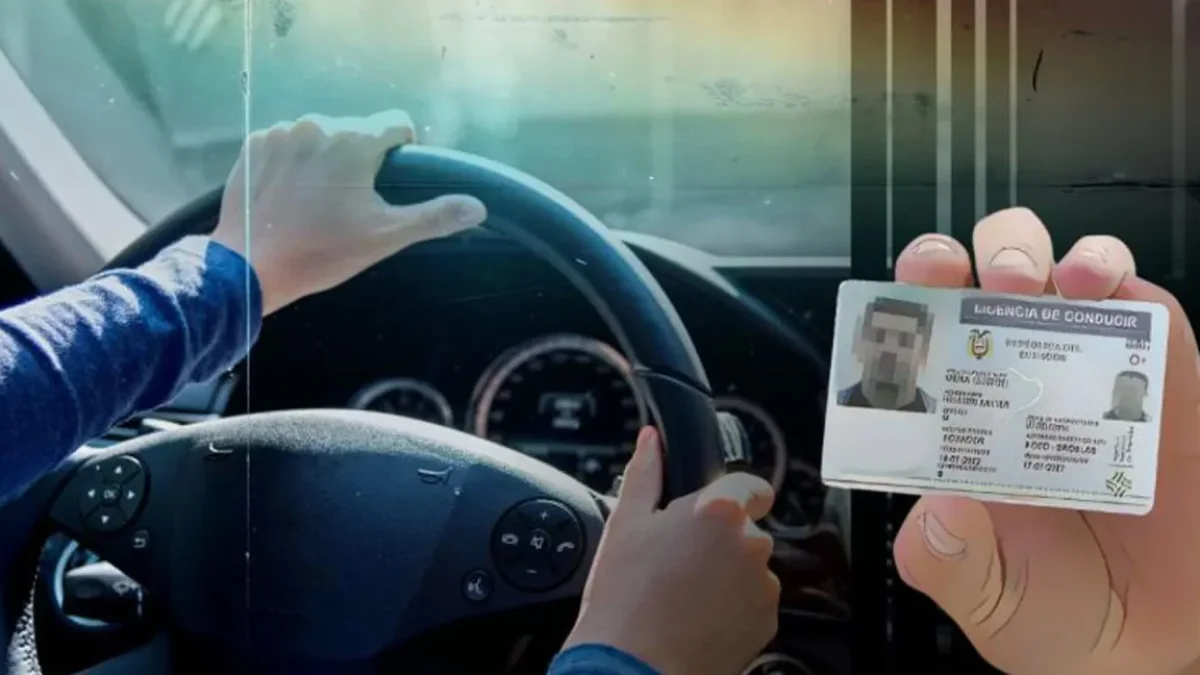 Habrá dificultades para poder obtener la licencia en el exterior.