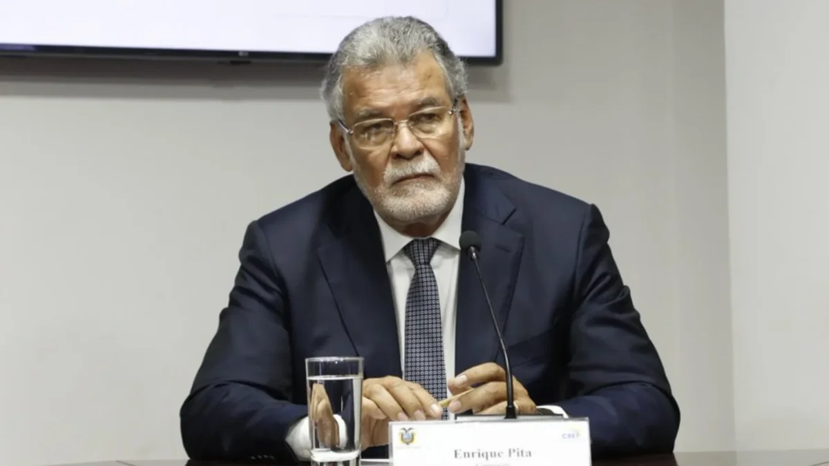 Enrique Pita es presidente del CNE subrogante, hasta que Diana Atamaint regrese de su viaje.