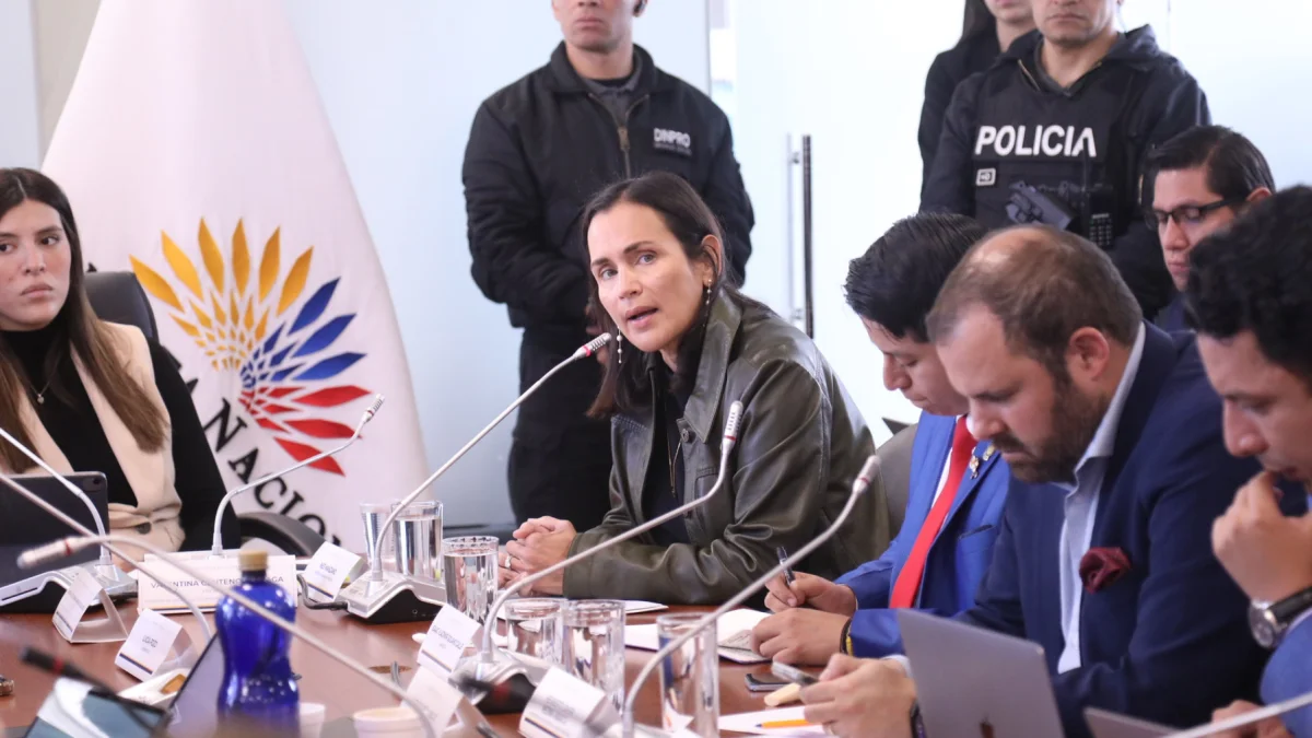 La exministra Inés Manzano, convocada por la Comisión de Desarrollo Económico de la Asamblea. Febrero de 2026.