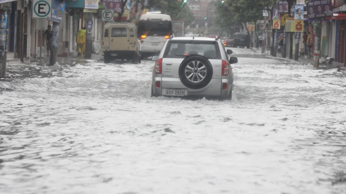 El río Milagro y esteros como Las Damas presentan acumulación de basura y maleza, lo que incrementa el riesgo de desbordamientos.