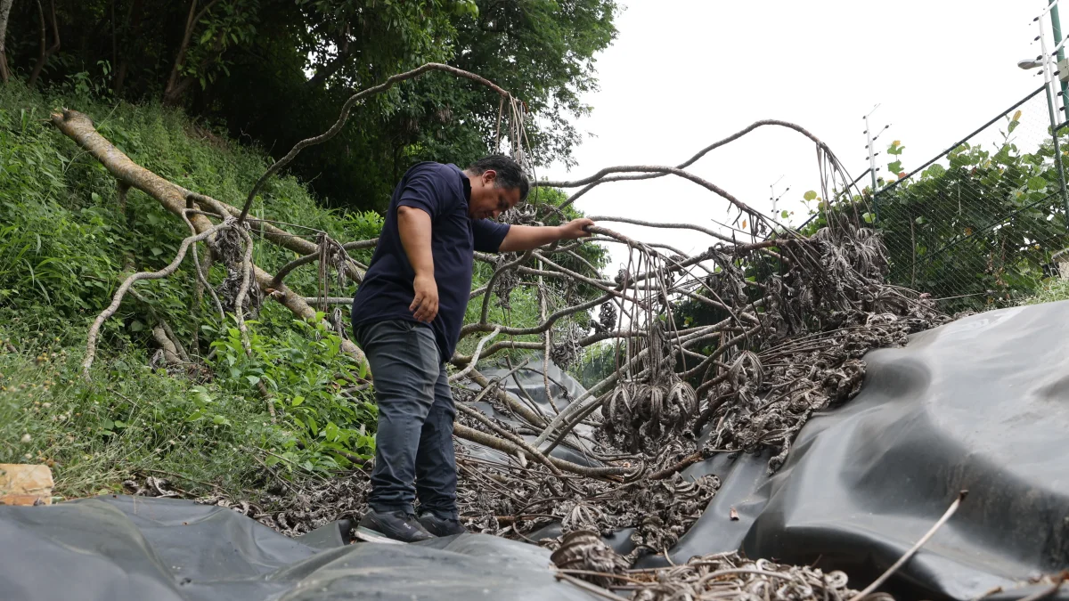 Vía a la costa y Ceibos denuncian riesgos de catástrofes ant