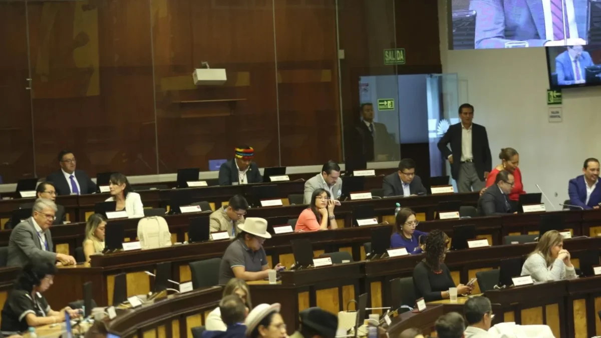 La concentración de poder legislativo sin contrapesos genera críticas sobre el debilitamiento del debate democrático.