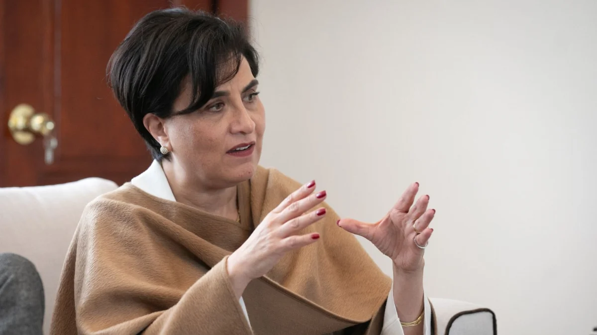 Gabriela Sommerfeld sale de la Cancillería: las de
