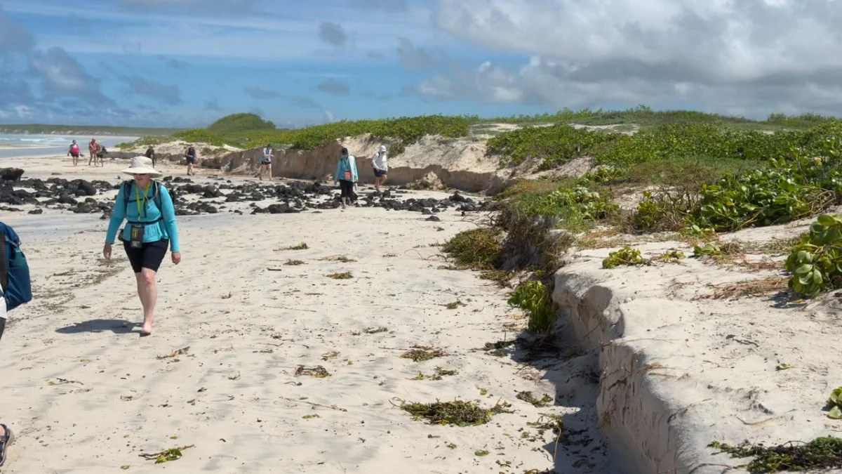 Oleaje en Galápagos: ¿Cuál es la recomendación par